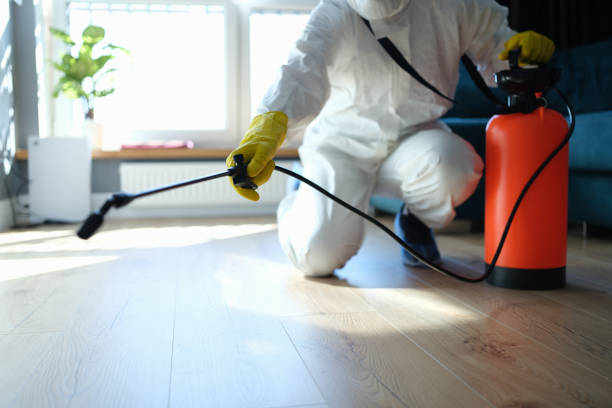 Reliable Odor Removal contractor in Brunswick, MD by Trauma Clean Pros